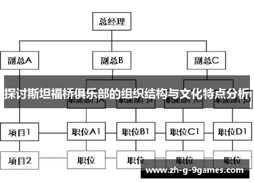 探讨斯坦福桥俱乐部的组织结构与文化特点分析